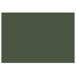 CARAN D'ACHE ПАСТЕЛНИ МОЛИВИ - DARK GREEN
