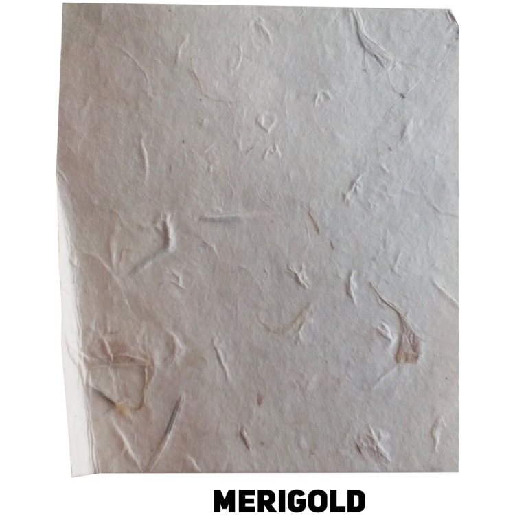 000110-83094 НЕПАЛСКА РЪЧНА ХАРТИЯ MERIGOLD 60 ГР, 50/75 - Изображение 1