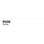 COPIC VARIOUS INK - RV-06