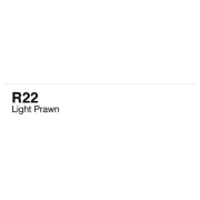COPIC VARIOUS INK - R-22