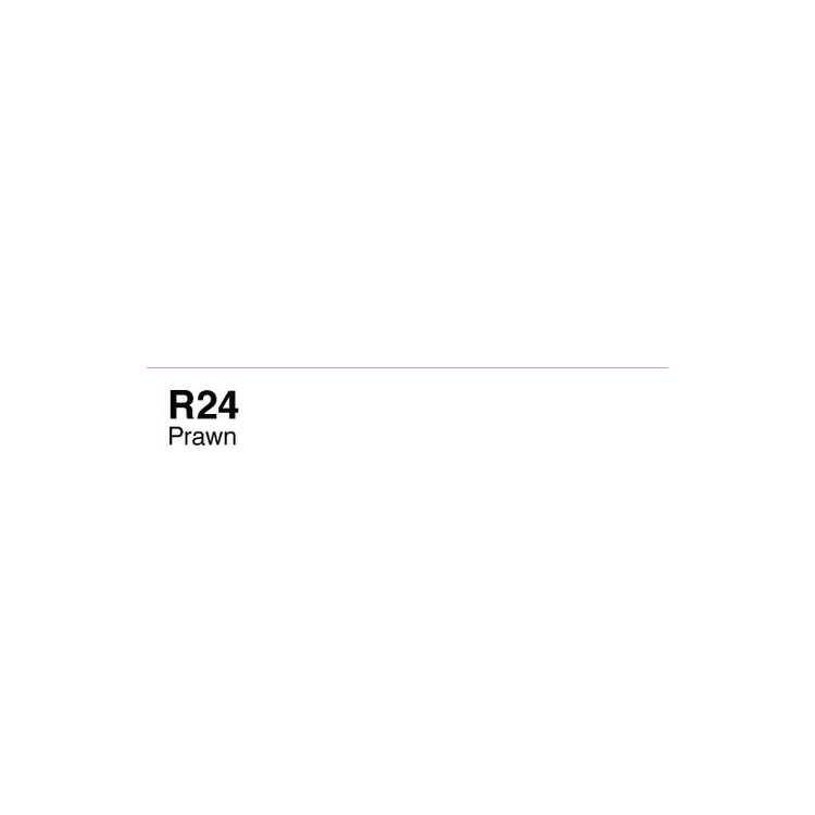 207178-86744 COPIC VARIOUS INK - R-24 - Изображение 1