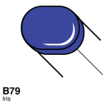 COPIC SKETCH MARKER - B-79