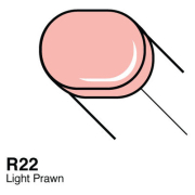 COPIC SKETCH MARKER - R-22