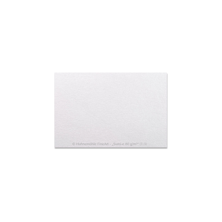 627070-111201 HAHNEMUHLE ХАРТИЯ ЗА ГРАФИКА SUMI-E 80 ГР 50/65 СМ - Изображение 1