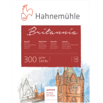 HAHNEMUHLE СКИЦНИК BRITANIA SATINIERT 300ГР 30/40 СМ 12Л.