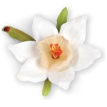SIZZIX THINLITS ЩАНЦИ ЗА ИЗРЯЗВАНЕ - FLOWER, NARCISSUS