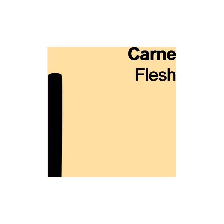 720042-82754 CARAN D'ACHE СУХИ ПАСТЕЛИ SOFT PASTELS ТЕЛЕСЕН - Изображение 1