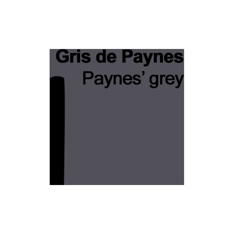 720508-82790 CARAN D'ACHE СУХИ ПАСТЕЛИ SOFT PASTELS ПАЙНЪС ГРЕЙ - Изображение 1