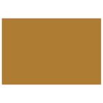 CARAN D'ACHE ПАСТЕЛНИ МОЛИВИ - RAW SIENNA