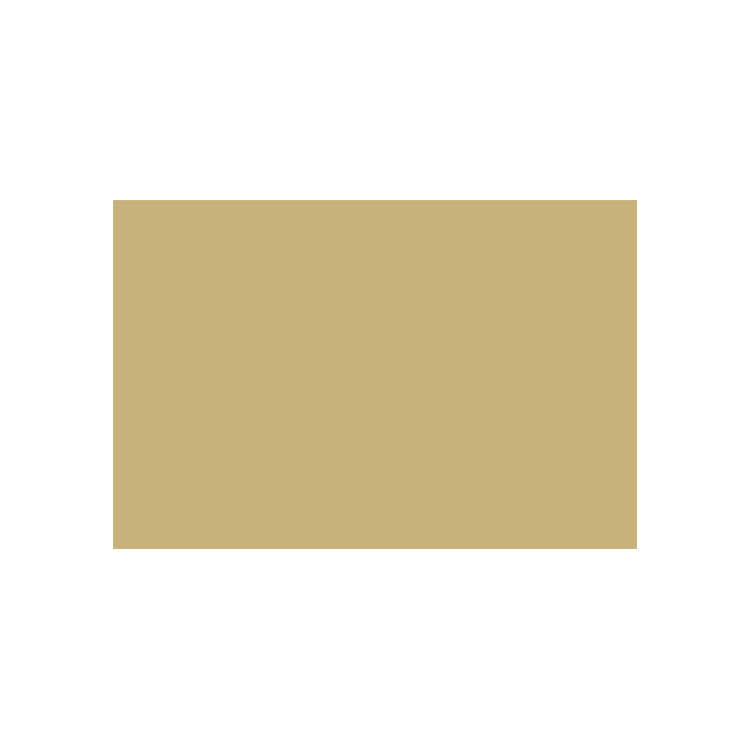 788736 CARAN D'ACHE ПАСТЕЛНИ МОЛИВИ - BROWN OLIVE 50 % - Изображение 1