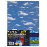 FOLIA ЦВЕТЕН ПАУС ЗА ДЕКОРАЦИЯ НЕБЕ - АСОРТИ 115 ГР.23/33 СМ