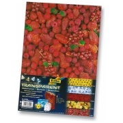 FOLIA ЦВЕТЕН ПАУС ЗА ДЕКОРАЦИЯ ГЕРБЕРИ-АСОРТИ 115 ГР.23/33СМ