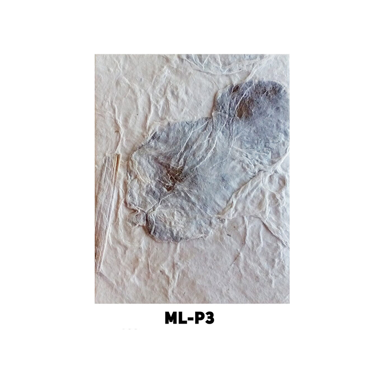 000107 НЕПАЛСКА РЪЧНА ХАРТИЯ ML-P3 120 ГР, 50/75 - Изображение 1