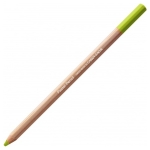 CARAN D'ACHE ПАСТЕЛНИ МОЛИВИ - MIDDLE MOSS GREEN 10 % - Изображение 2