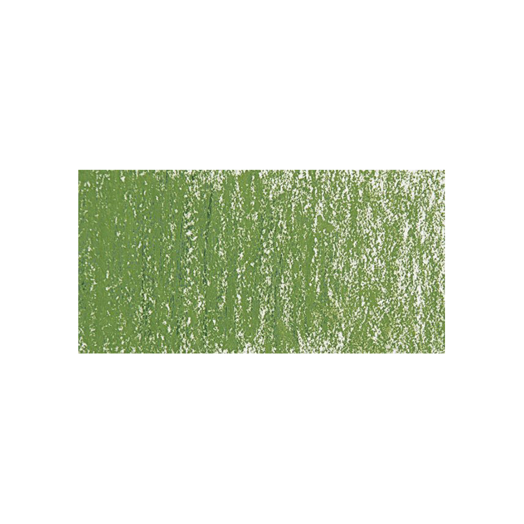CARAN D'ACHE СУХИ ПАСТЕЛИ SOFT PASTELS МЪХЕСТО ЗЕЛЕН - Изображение 1
