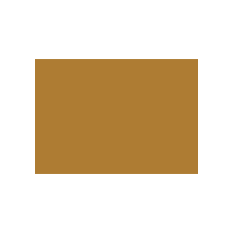 CARAN D'ACHE ПАСТЕЛНИ МОЛИВИ - RAW RUSSET - Изображение 1