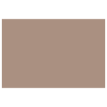 CARAN D'ACHE ПАСТЕЛНИ МОЛИВИ - DARK FLESH 50 %