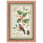 STAMPERIA WINTER BOTANIC ДЕКУПАЖНА ХАРТИЯ А4 - DFSA4326