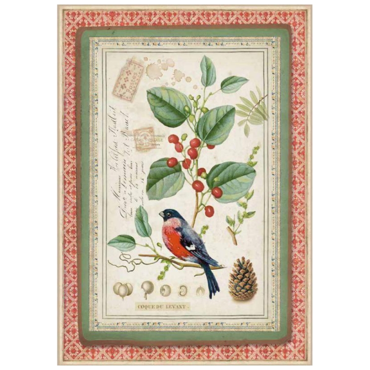 STAMPERIA WINTER BOTANIC ДЕКУПАЖНА ХАРТИЯ А4 - DFSA4326 - Изображение 1