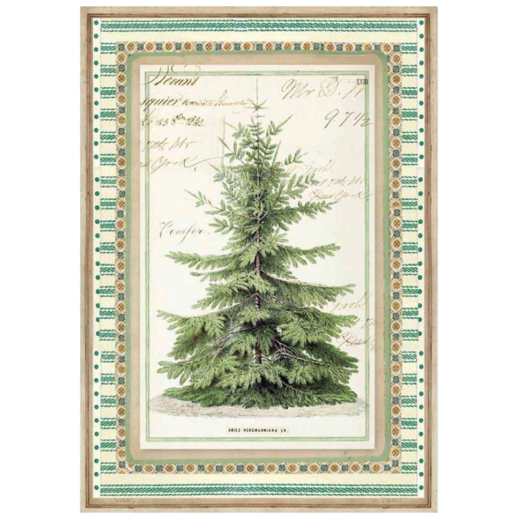 DFSA4327 STAMPERIA WINTER BOTANIC ДЕКУПАЖНА ХАРТИЯ А4 - DFSA4327 - Изображение 1