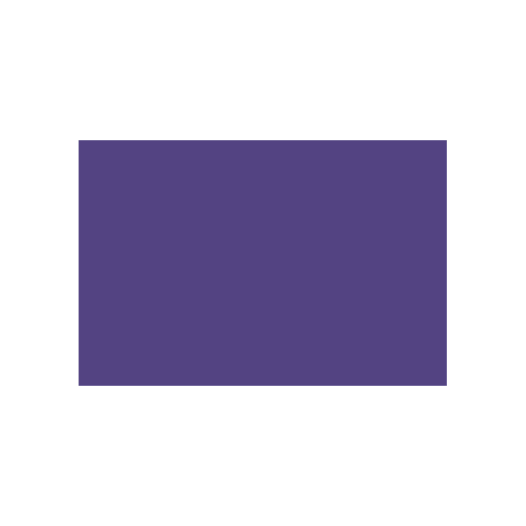 078120 CARAN D'ACHE ПАСТЕЛНИ МОЛИВИ - VIOLET - Изображение 1