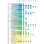 CARAN D'ACHE АКВАРЕЛНИ ПАСТЕЛИ NEOCOLOR II КОБАЛТ СИН 661 - Изображение 5