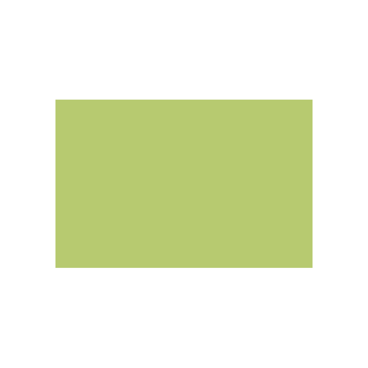 CARAN D'ACHE ПАСТЕЛНИ МОЛИВИ - LIGHT OLIVE - Изображение 1