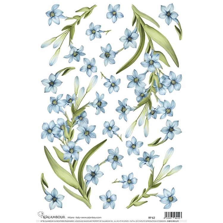 RP 62 CALAMBOUR ДЕКУПАЖНА ХАРТИЯ 48/33 СМ - RP 62 - Изображение 1