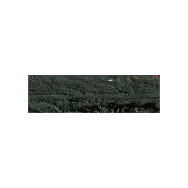 740019 CARAN D'ACHE МАСЛЕНИ ПАСТЕЛИ NEOPASTEL ОЛИВНО ЧЕРНО - Изображение 1