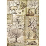 STAMPERIA FOREST ДЕКУПАЖНА ХАРТИЯ А4 - DFSA4426