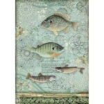 STAMPERIA SEA WORLD ДЕКУПАЖНА ХАРТИЯ А4 - DFSA4428