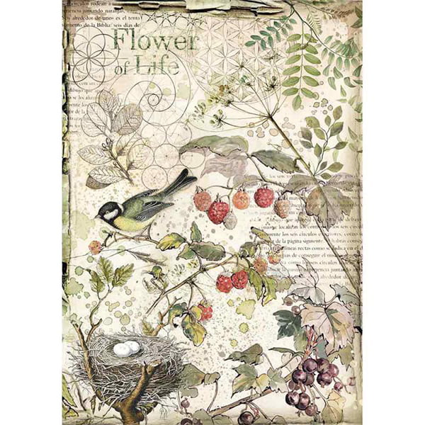 full_DFSA4459_1 STAMPERIA FLOWERS AND FRUITS ДЕКУПАЖНА ХАРТИЯ А4 - DFSA4459 - Изображение 1