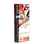 CHAMELEON МАРКЕРИ КОМПЛЕКТ - 5 ЦВ WARM TONES CT0511