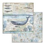 STAMPERIA ARCTIC ANTARCTIC КАРТОН 30,5/30,5 СМ - SBB729
