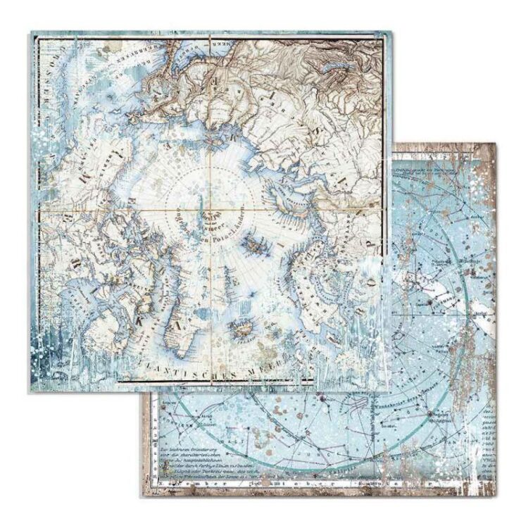 SBB730 STAMPERIA ARCTIC ANTARCTIC КАРТОН 30,5/30,5 СМ - SBB730 - Изображение 1
