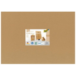FOLIA КРАФТ КАРТОН 50/70 СМ, 120 ГР