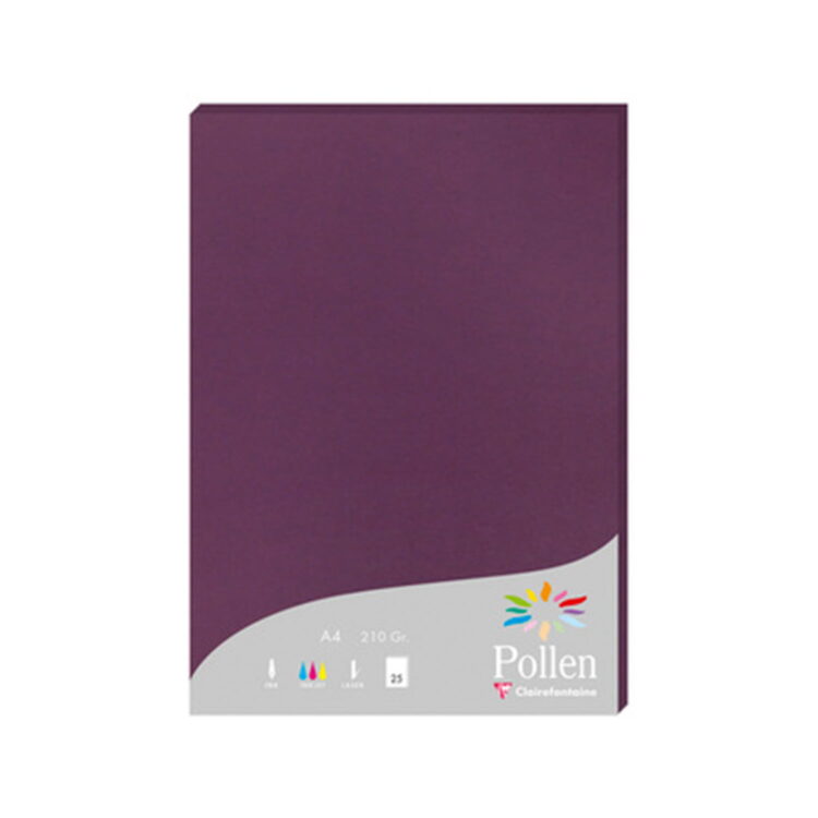 12 CLAIREFONTAINE ХАРТИЯ A4 210 ГР. - КАСИС - Изображение 1