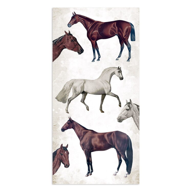 STAMPERIA ROMANTIC HORSES COLLECTABLES SBBV06 - Изображение 10