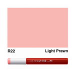COPIC INK 12 ML - R-22