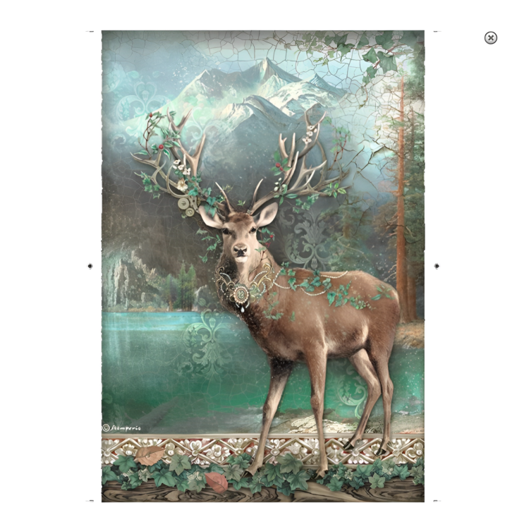 STAMPERIA MAGIC FOREST ДЕКУПАЖНА ОРИЗОВА ХАРТИЯ А4 -DFSA4750 - Изображение 1