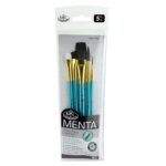 R&L MENTA ЧЕТКИ СИНТЕТИКА КОМПЛЕКТ 5 БР RMEN-SET881