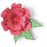 SIZZIX THINLITS ЩАНЦИ ЗА ИЗРЯЗВАНЕ - POP-UP FLOWER - Изображение 2