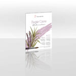 HAHNEMUHLE СКИЦНИК SUGAR CANE 290 GSM, A4, 12 ЛИСТА