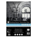 BAOHONG СКИЦНИК THE MASTER`CHOICE COLD PRESSED 300 ГР 20/20