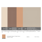 CLAIREFONTAINE ХАРТИЯ PASTELGRAIN 50/70 СМ 360 ГР - SIENNA