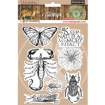 STAMPERIA AMAZONIA STAMPS 14/18CM WTKCC193