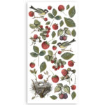 STAMPERIA FOREST PAPER CUT-OUTS DOUBLE FACE - SBBCT02 - Изображение 3
