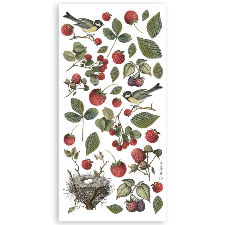STAMPERIA FOREST PAPER CUT-OUTS DOUBLE FACE - SBBCT02 - Изображение 3