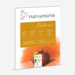 HAHNEMUHLE СКИЦНИК VELOUR 260 GSM, 30/40CM, 10 ЛИСТА