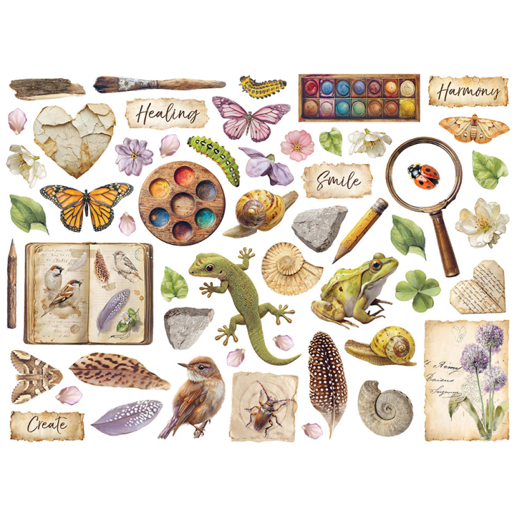 STAMPERIA ALL AROUND DIE CUTS DFLDC133 - Изображение 2